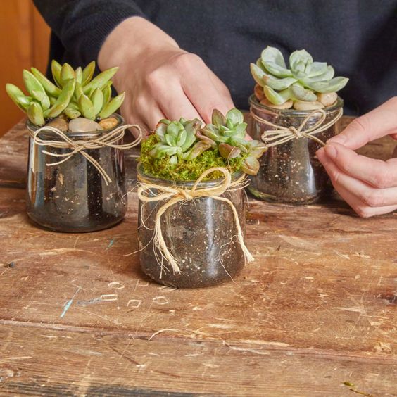 Centros de mesa con plantas: 30 Ideas que te encantarán