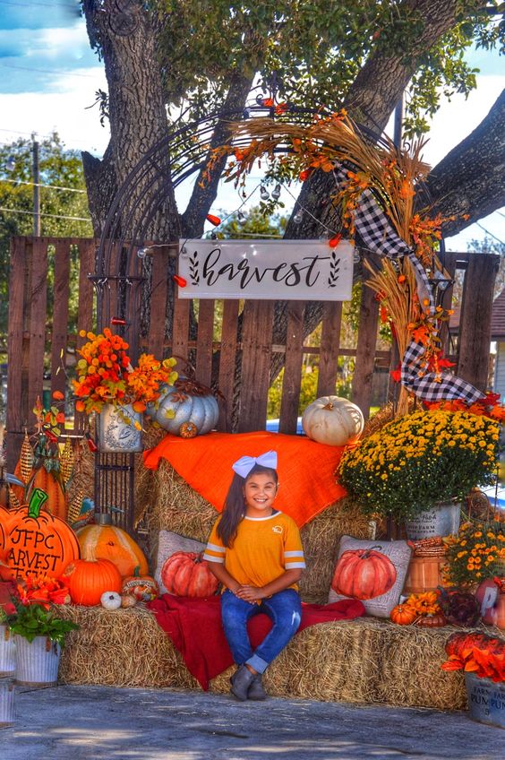 Backdrops de Thanksgiving 